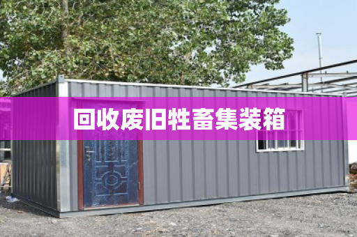 回收废旧牲畜集装箱