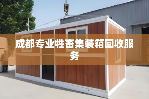 成都专业牲畜集装箱回收服务