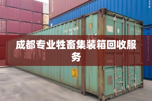 成都专业牲畜集装箱回收服务