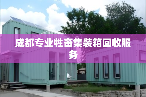 成都专业牲畜集装箱回收服务