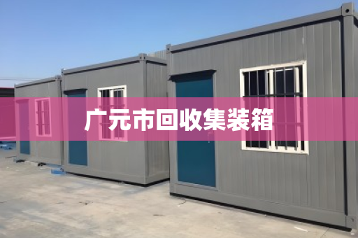 广元市回收集装箱